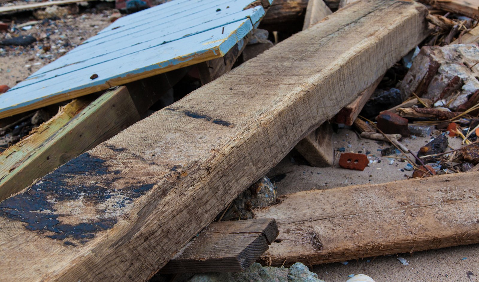 art-of-sandy-mo-seagate 2-38.jpg